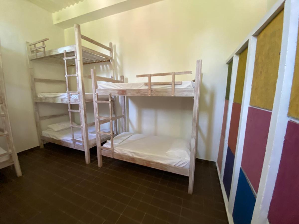 Color Hostel Palomino Kültér fotó